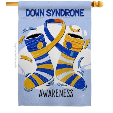 Patio Trasero Down Syndrome Support Awareness 28 x 40 in. Double-Sided Vertical House Flags for Banner Garden PA3903838